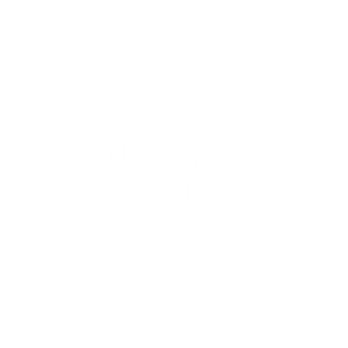 HughoVision